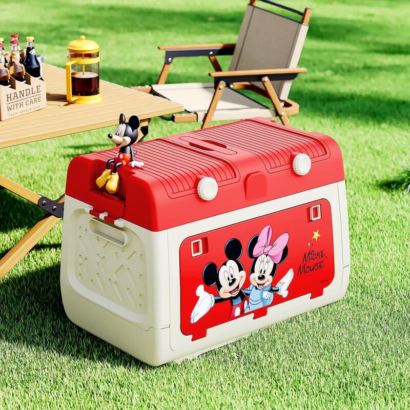 디즈니 정품 공인 야외 캠핑 보관함 미키와 미니 자동차 - Outdoor Camping Folding Storage Box 리뷰 및 가격