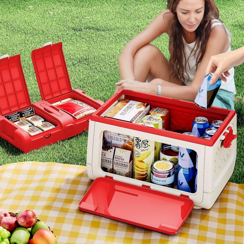 디즈니 정품 공인 야외 캠핑 보관함 미키와 미니 자동차 - Outdoor Camping Folding Storage Box 리뷰 및 가격